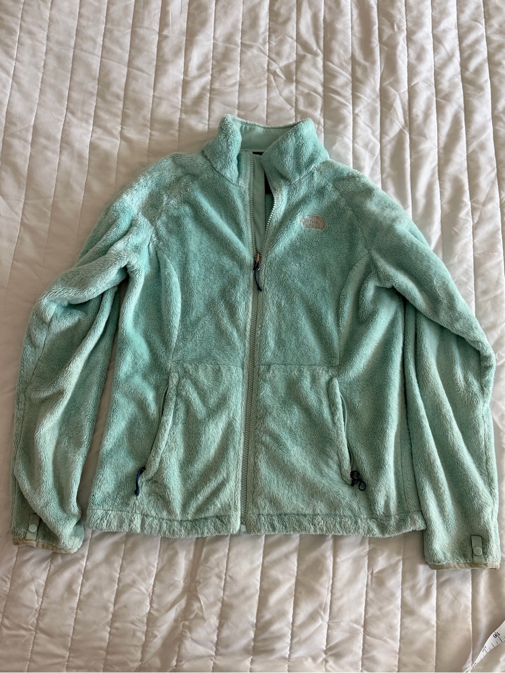 The North Face Women's Mint Green Plush Fleece Jacket